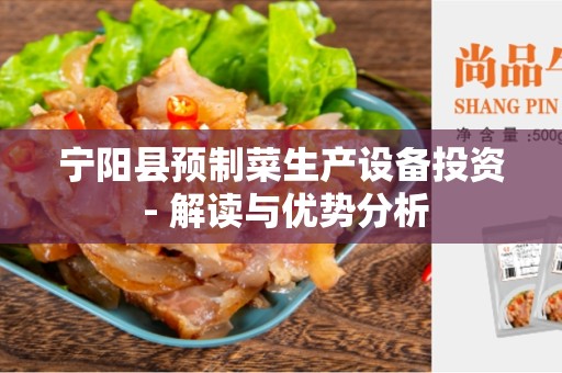 宁阳县预制菜生产设备投资 - 解读与优势分析