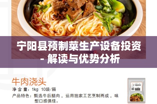 宁阳县预制菜生产设备投资 - 解读与优势分析