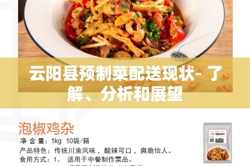 云阳县预制菜配送现状- 了解、分析和展望