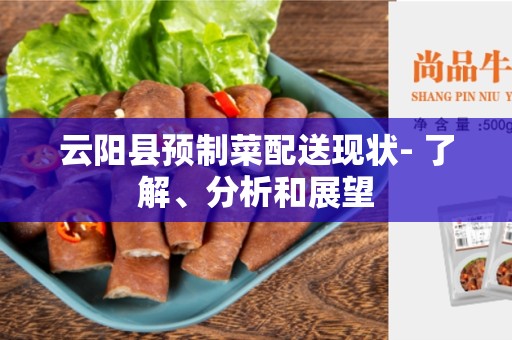 云阳县预制菜配送现状- 了解、分析和展望