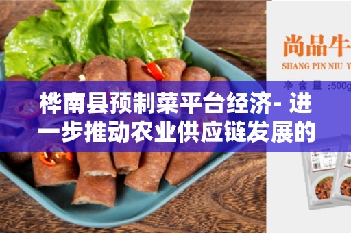 桦南县预制菜平台经济- 进一步推动农业供应链发展的新机遇