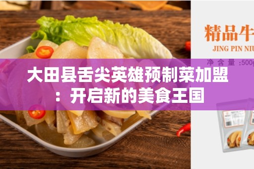 大田县舌尖英雄预制菜加盟：开启新的美食王国