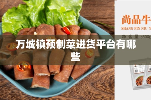 万城镇预制菜进货平台有哪些