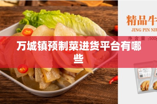 万城镇预制菜进货平台有哪些