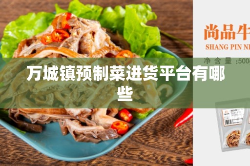 万城镇预制菜进货平台有哪些