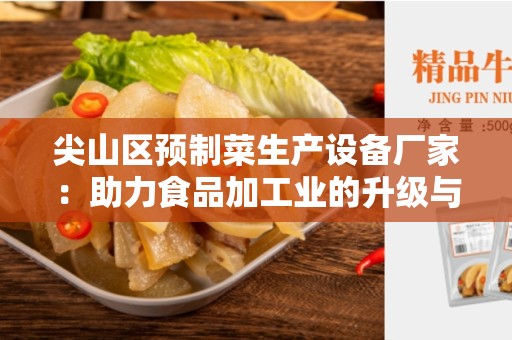 尖山区预制菜生产设备厂家：助力食品加工业的升级与发展