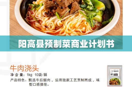 阳高县预制菜商业计划书