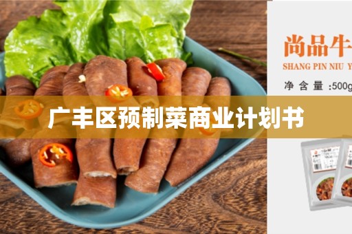 广丰区预制菜商业计划书
