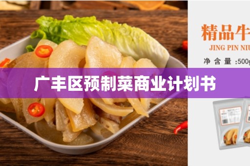 广丰区预制菜商业计划书