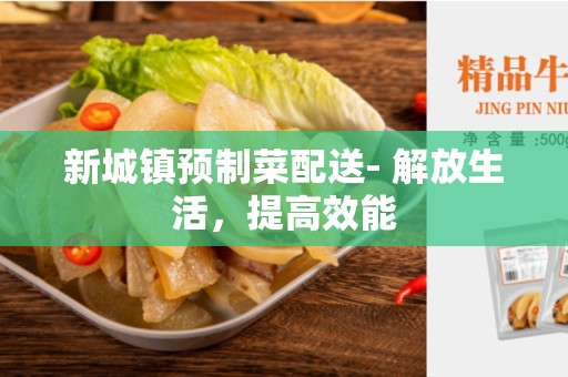 新城镇预制菜配送- 解放生活，提高效能