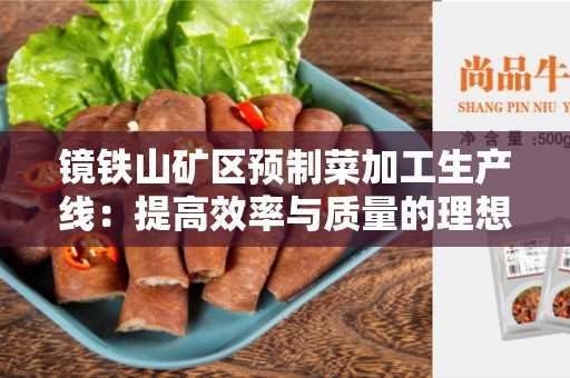 镜铁山矿区预制菜加工生产线：提高效率与质量的理想选择