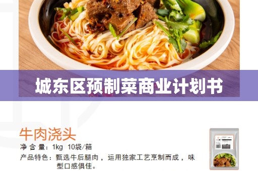 城东区预制菜商业计划书