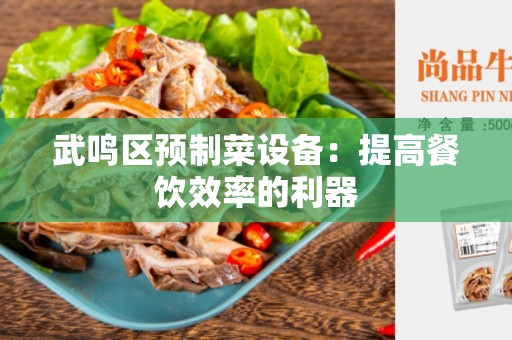 武鸣区预制菜设备：提高餐饮效率的利器
