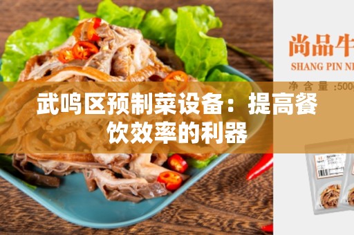 武鸣区预制菜设备：提高餐饮效率的利器