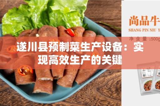 遂川县预制菜生产设备：实现高效生产的关键