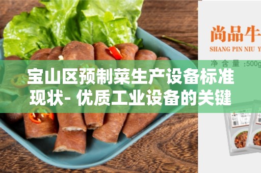 宝山区预制菜生产设备标准现状- 优质工业设备的关键
