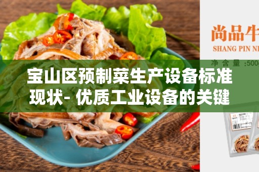 宝山区预制菜生产设备标准现状- 优质工业设备的关键
