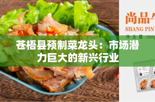 苍梧县预制菜龙头：市场潜力巨大的新兴行业