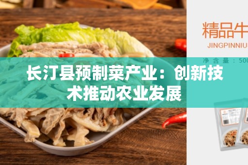 长汀县预制菜产业：创新技术推动农业发展