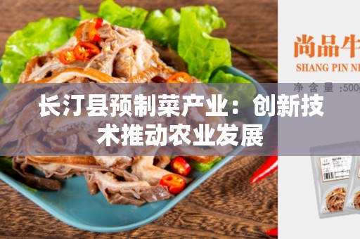 长汀县预制菜产业：创新技术推动农业发展