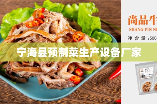 宁海县预制菜生产设备厂家