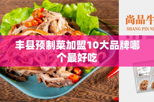 丰县预制菜加盟10大品牌哪个最好吃