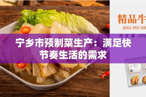宁乡市预制菜生产：满足快节奏生活的需求