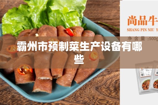 霸州市预制菜生产设备有哪些