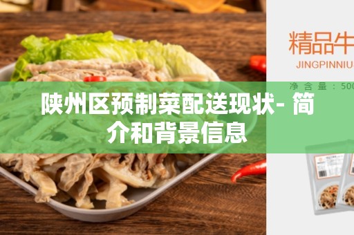 陕州区预制菜配送现状- 简介和背景信息
