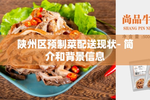 陕州区预制菜配送现状- 简介和背景信息