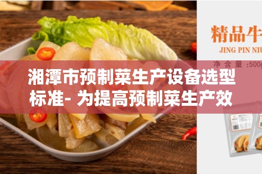湘潭市预制菜生产设备选型标准- 为提高预制菜生产效率和品质
