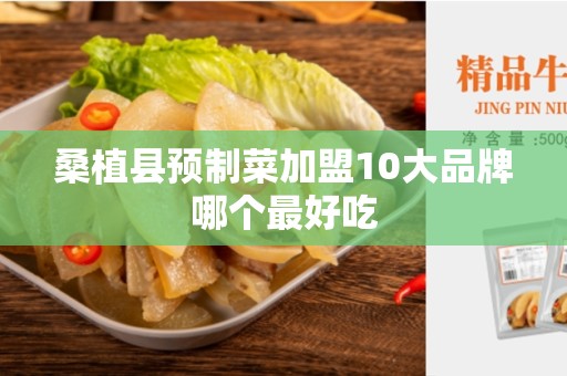 桑植县预制菜加盟10大品牌哪个最好吃