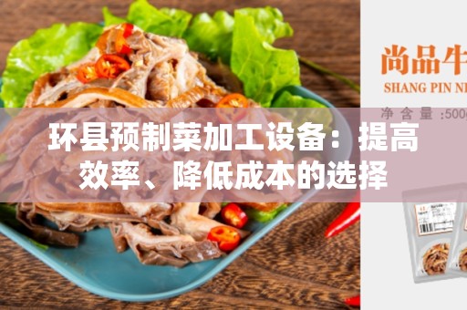 环县预制菜加工设备：提高效率、降低成本的选择