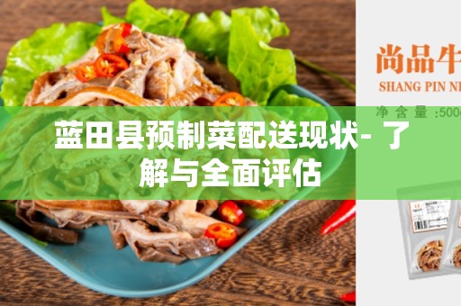 蓝田县预制菜配送现状- 了解与全面评估