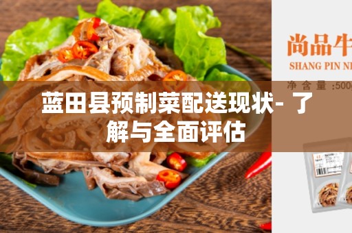 蓝田县预制菜配送现状- 了解与全面评估