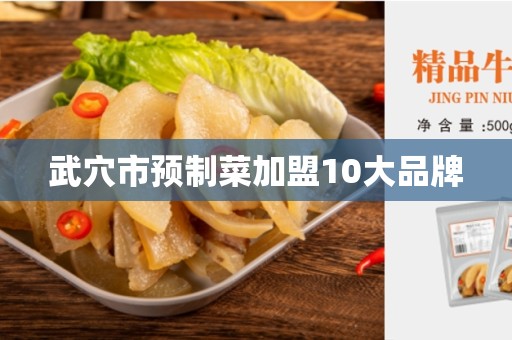武穴市预制菜加盟10大品牌