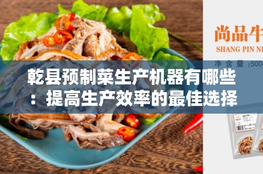 乾县预制菜生产机器有哪些：提高生产效率的最佳选择