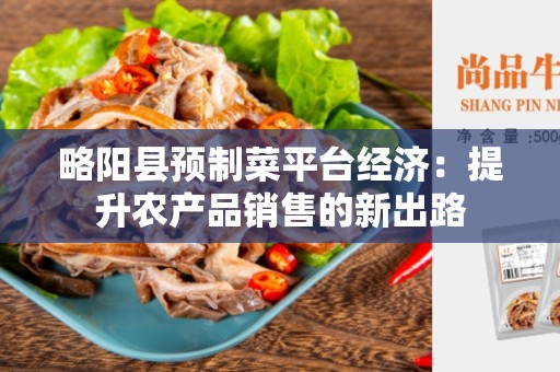 略阳县预制菜平台经济：提升农产品销售的新出路