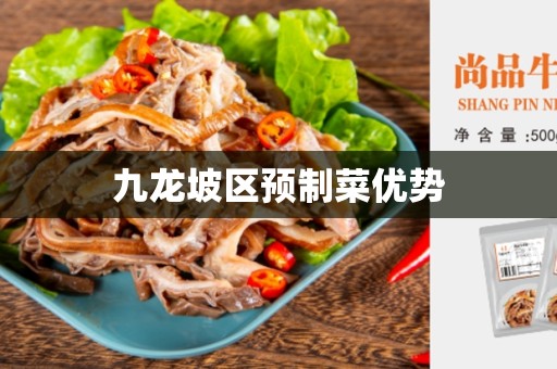 九龙坡区预制菜优势