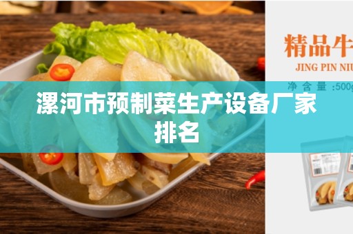漯河市预制菜生产设备厂家排名