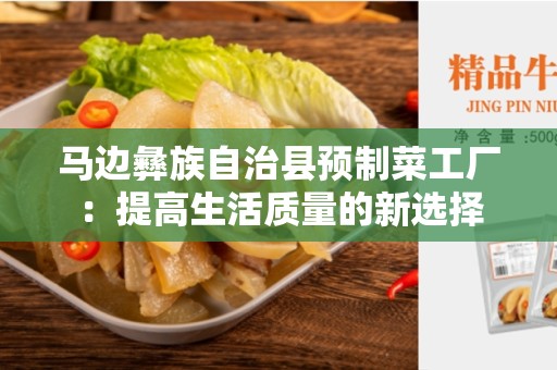 马边彝族自治县预制菜工厂：提高生活质量的新选择