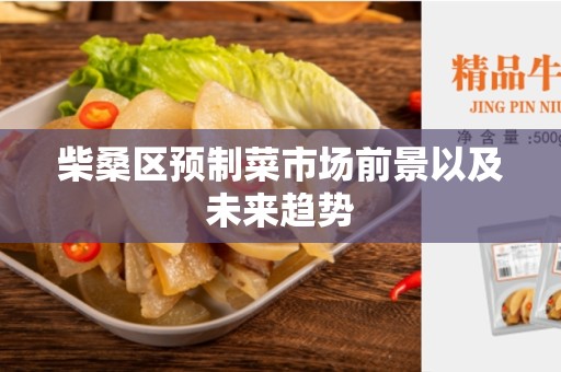 柴桑区预制菜市场前景以及未来趋势