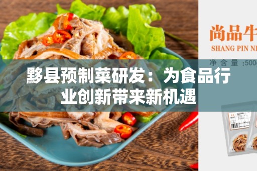 黟县预制菜研发：为食品行业创新带来新机遇