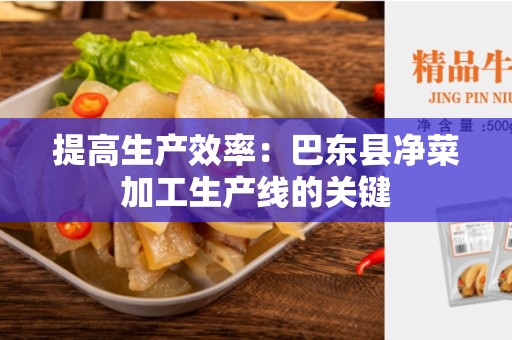 提高生产效率：巴东县净菜加工生产线的关键
