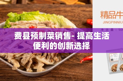 费县预制菜销售- 提高生活便利的创新选择