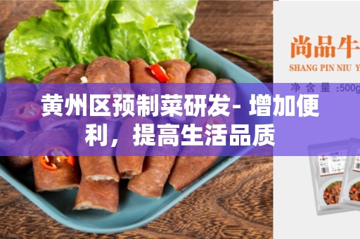 黄州区预制菜研发- 增加便利，提高生活品质
