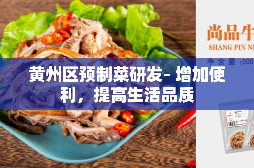 黄州区预制菜研发- 增加便利，提高生活品质