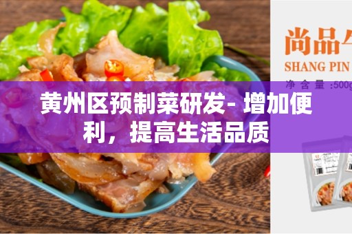 黄州区预制菜研发- 增加便利，提高生活品质