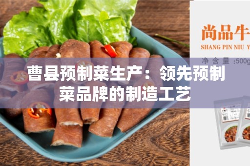 曹县预制菜生产：领先预制菜品牌的制造工艺