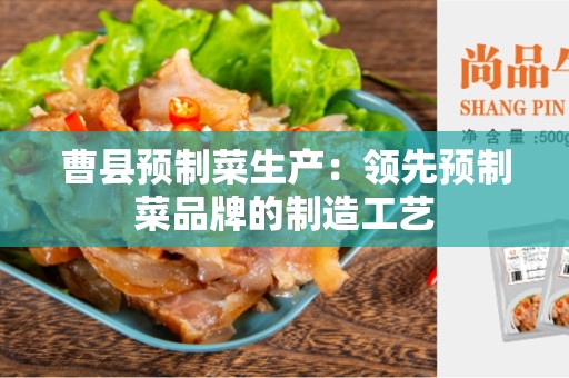 曹县预制菜生产：领先预制菜品牌的制造工艺
